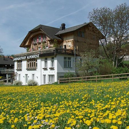 Hotel Alpenrose Beim Ballenberg Hofstetten bei Brienz Экстерьер фото