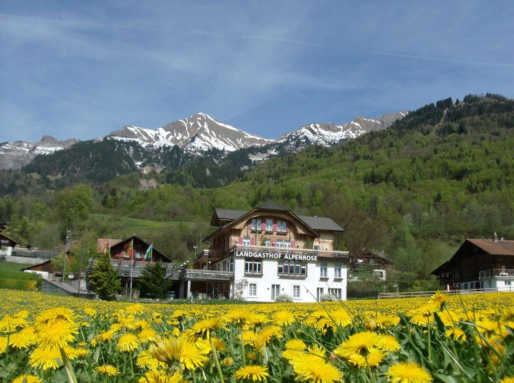 Hotel Alpenrose Beim Ballenberg Hofstetten bei Brienz Экстерьер фото