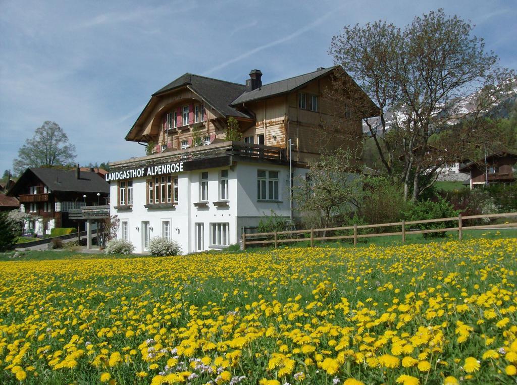 Hotel Alpenrose Beim Ballenberg Hofstetten bei Brienz Экстерьер фото